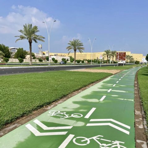 A green bicycle lane runs alongside a road bordered by grass, with palm trees lining the background and a clear blue sky overhead, creating a perfect backdrop for our CitiME Partner Spotlight in the Middle East.