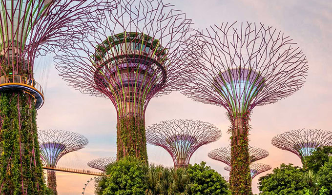 View of the futuristic Supertree Grove structures in Singapore, with lush vertical gardens and a sky walkway, offering insights into sustainable design, set against a soft sky.