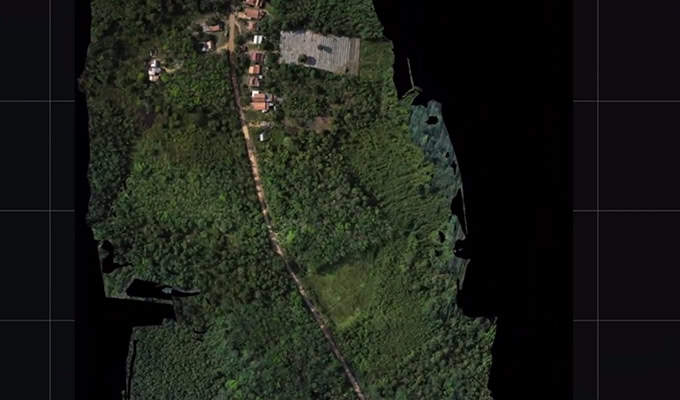 Imagen aérea de una zona rural con un estrecho camino de tierra, casas rodeadas de densa vegetación verde y algunos parches de tierra despejados.